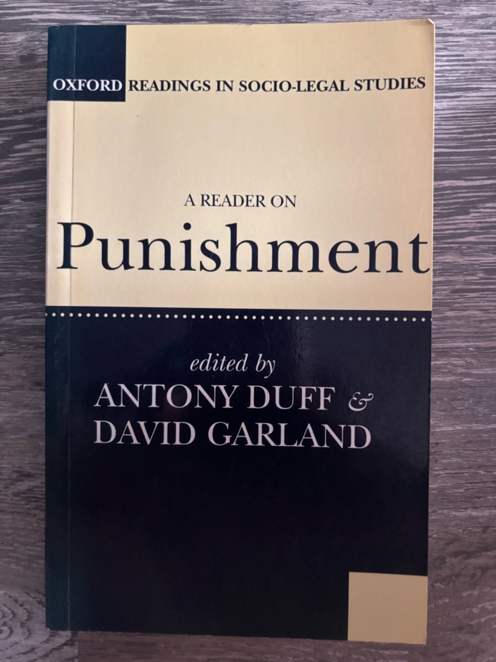 Punishment by Antony Duff & David Garland